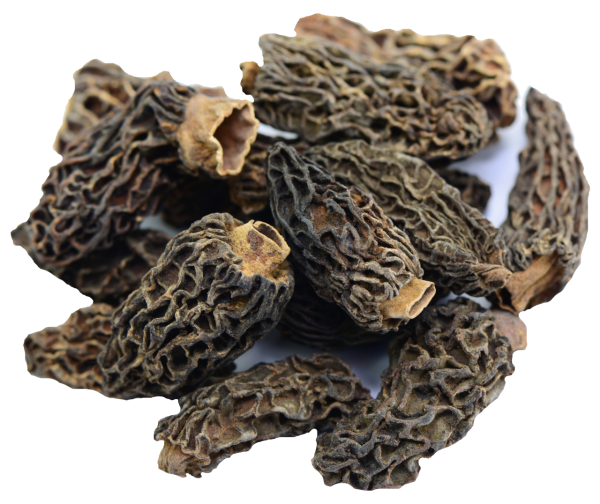 50 g Spitzmorchel ohne Stiel getrocknet