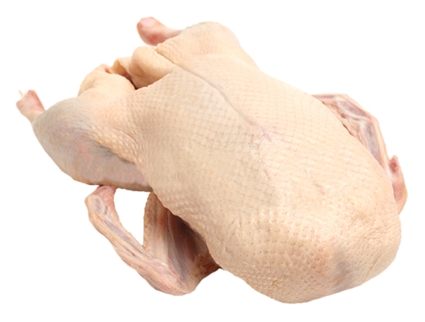ca. 4000 g Gans ganz grillfertig ohne Kopf