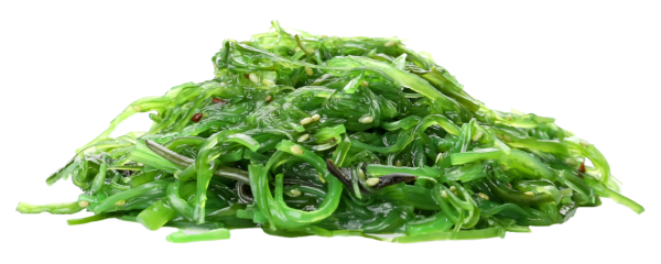 250 g Wakame Braunalgensalat mariniert