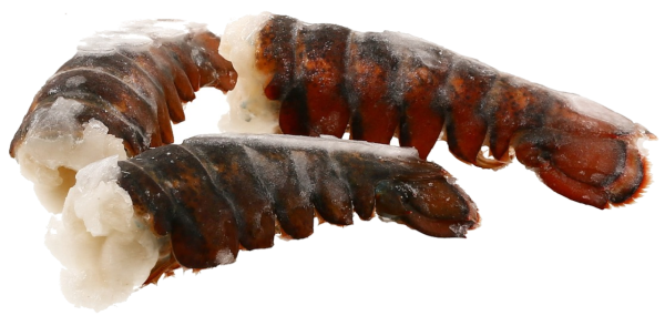 ca. 320 g Hummerschwanz mit Schale