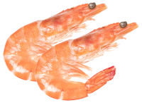 1000 g Black Tiger Riesencrevetten gross mit Kopf und Schale roh 1000 g Black Tiger Riesencrevetten gross mit Kopf und Schale roh