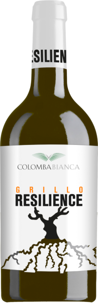 75 cl Resilience Single Cru Grillo Sicilia DOC Colomba Bianca MO 2018