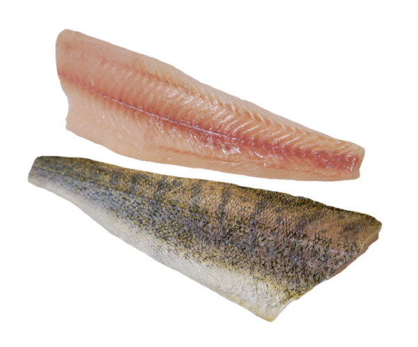 ca. 1000 g Zanderfilets SCHWEIZ mit Haut Zucht