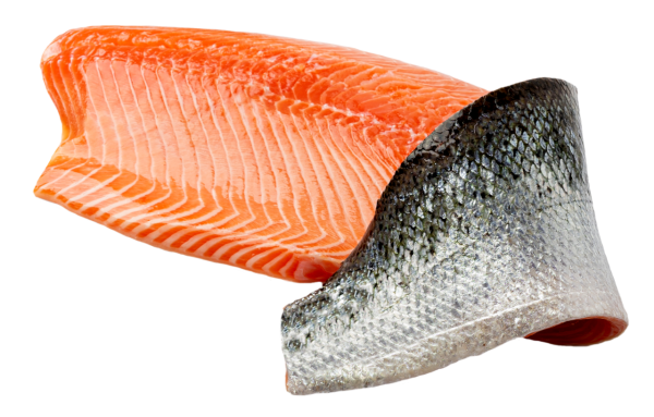 ca. 1500 g Salmfilet (Lachs) mit Haut ohne Gräte Färöer Inseln