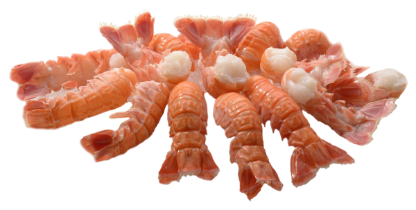 1000 g Scampischwänze klein mit Schale