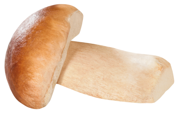1000 g Steinpilz ganz 2-4cm